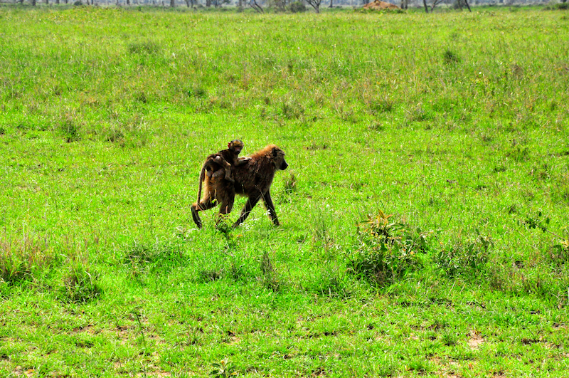 Melanie Heinrich Travel Images Africa